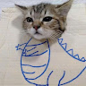 Meet your Posher, Carl